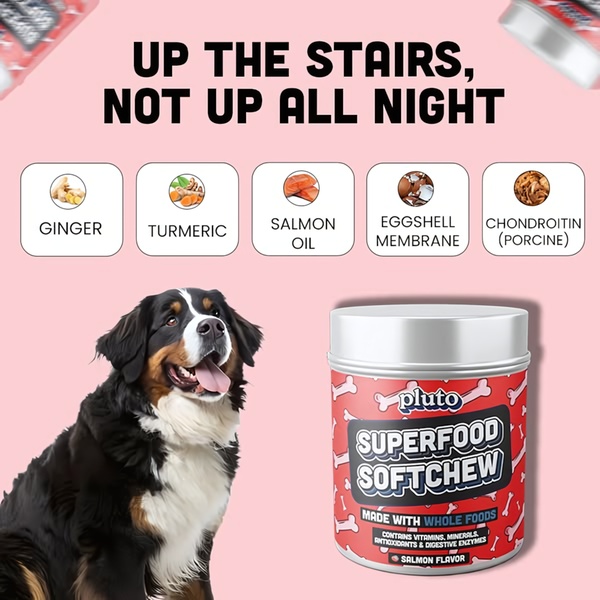 This 1:1 creative displays dog softchew supplements alongside labeled ingredient icons to communicate health benefits clearly to pet owners.